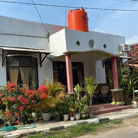 Owl Hostel カリムンジャワ エクステリア 写真