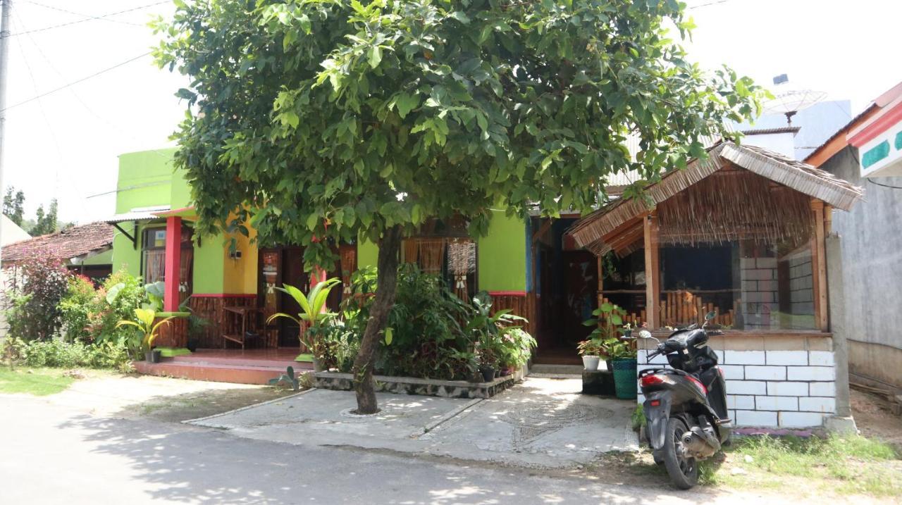 Owl Hostel カリムンジャワ エクステリア 写真