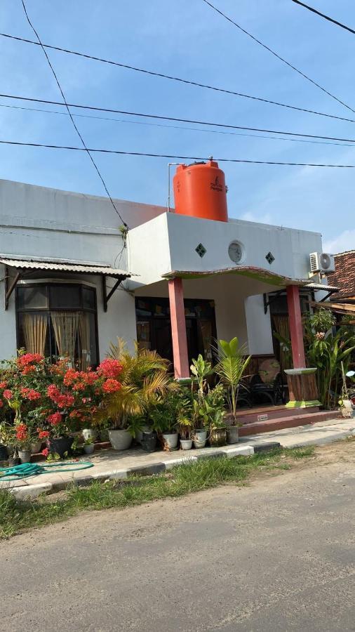 Owl Hostel カリムンジャワ エクステリア 写真